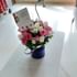 Pink and White Roses Symphony