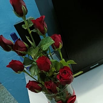 https://imgcdn.floweraura.com/fa/review_image/1644250321.5559.jpeg