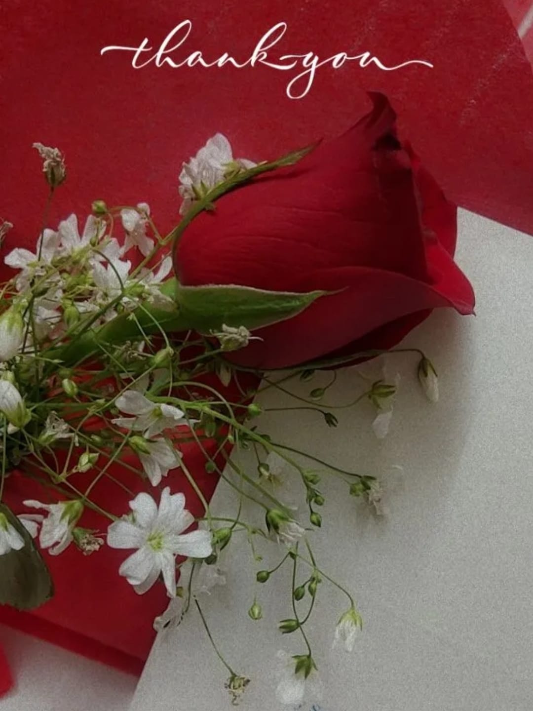 https://imgcdn.floweraura.com/fa/review_image/1644348336.3308.jpeg