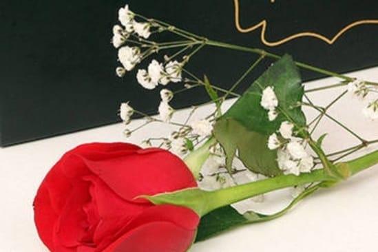 https://imgcdn.floweraura.com/fa/review_image/1644352506.1325.jpeg
