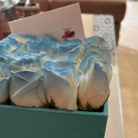 https://imgcdn.floweraura.com/fa/review_image/1644384505.5831.jpeg