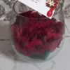 Crimson Floral Embrace