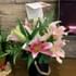 Assortment Of Lilies
