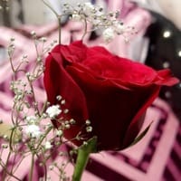 https://imgcdn.floweraura.com/fa/review_image/1644825658.9009.jpeg