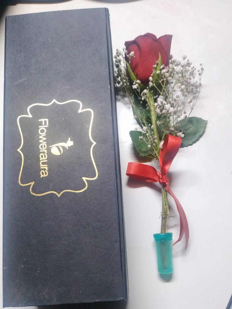 https://imgcdn.floweraura.com/fa/review_image/1644929019.093.jpeg
