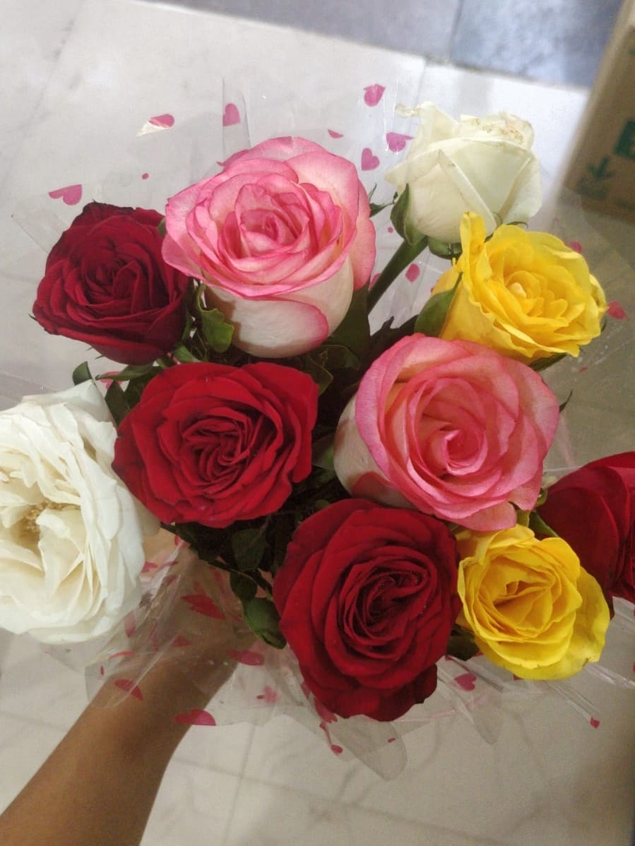 https://imgcdn.floweraura.com/fa/review_image/1645792265.8333.jpeg