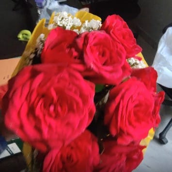 https://imgcdn.floweraura.com/fa/review_image/1645801359.8803.jpeg