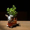 Jade Plant in Bunny Pot