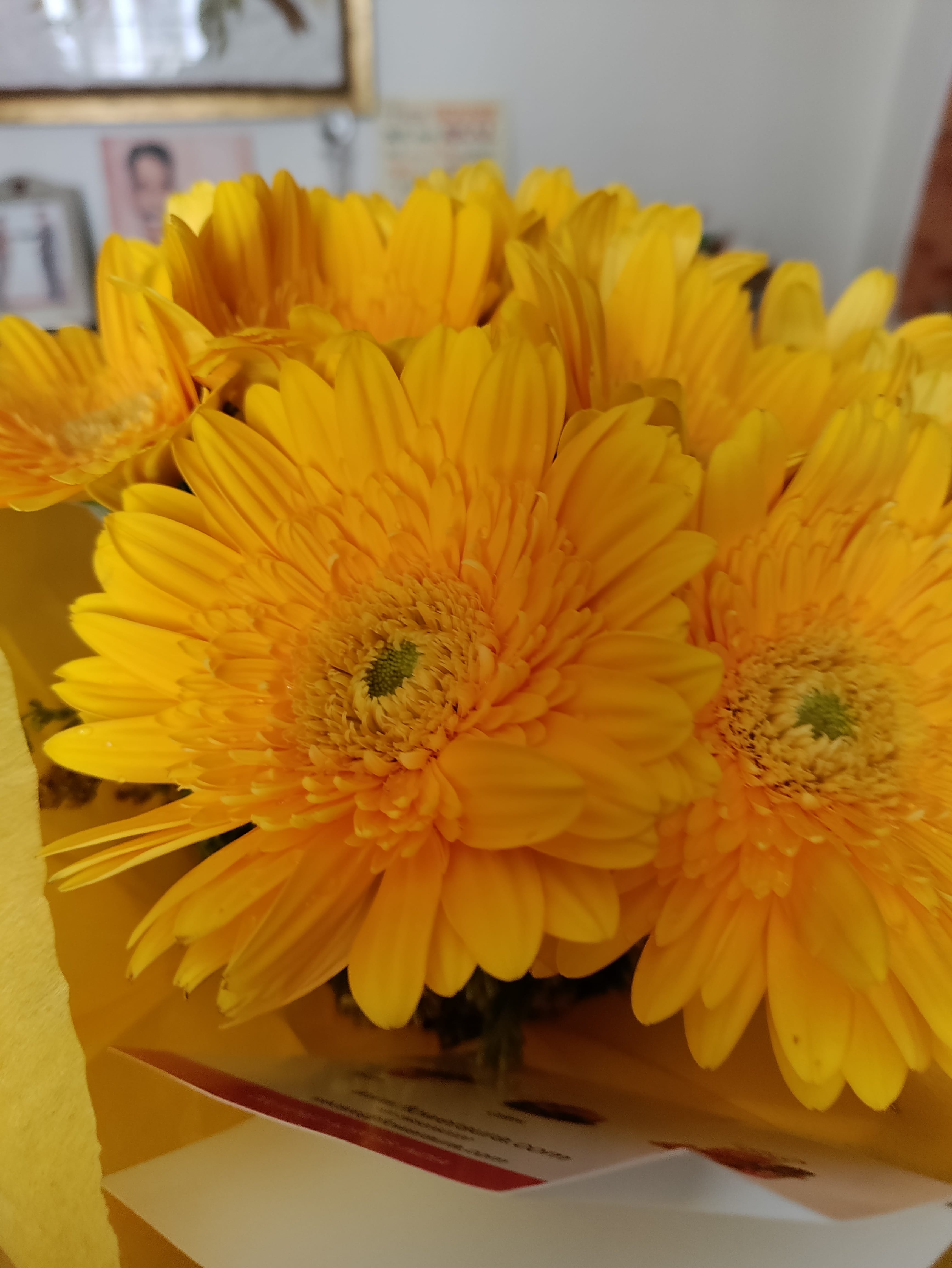 https://imgcdn.floweraura.com/fa/review_image/1648014926.9934.jpeg