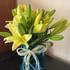 Luminous Lilies in Blue