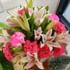 Lily N Carnation In Glass