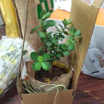 https://imgcdn.floweraura.com/fa/review_image/1651671197.8688.jpeg