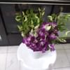 Bellina Purple Orchid Bouquet