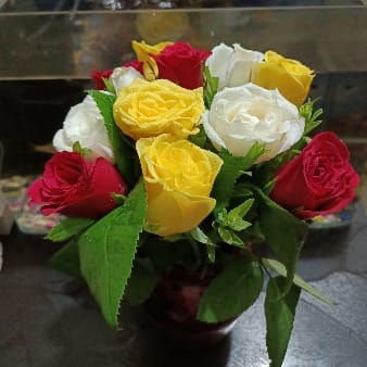 https://imgcdn.floweraura.com/fa/review_image/1655834779.9064.jpeg