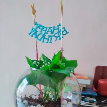 https://imgcdn.floweraura.com/fa/review_image/1659468597.705.jpeg