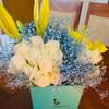 Harmonious Floral Fantasy