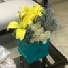 Harmonious Floral Fantasy
