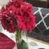 Timeless Pink Carnations