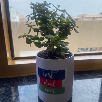 Jade In Personalised Ceramic Mug
