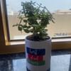 Jade In Personalised Ceramic Mug