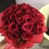 Delicate Ravishing Romance