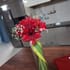 Timeless Pink Carnations
