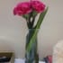 Timeless Pink Carnations