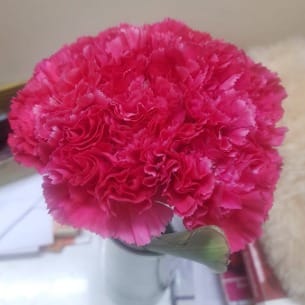 https://imgcdn.floweraura.com/fa/review_image/1694414210_479886.jpeg