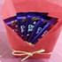 5 Dairy Milk Chocolates (13gm each)