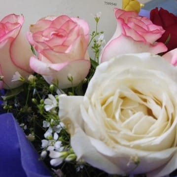https://imgcdn.floweraura.com/fa/review_image/1699020872_592330.jpeg