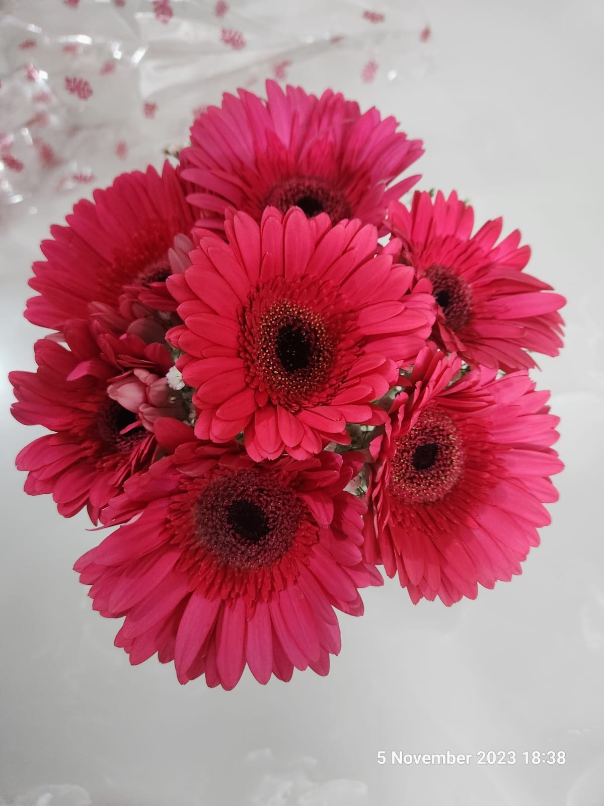 https://imgcdn.floweraura.com/fa/review_image/1699195074_766706.jpeg
