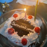 Classic Black Forest Cake