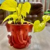 Prosperous Money In Ganesha Pot