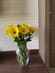 Sunshine Gerberas For Celebration
