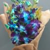 Blue 6 Orchid Jute Bouquet