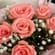 Tender Pink Roses Bouquet