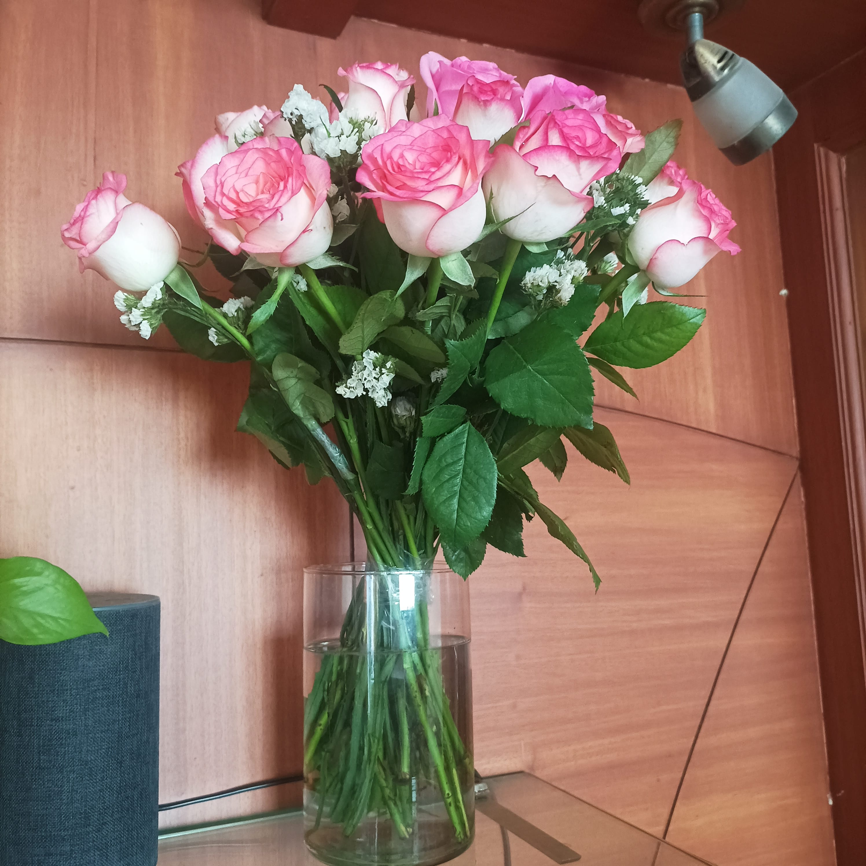 https://imgcdn.floweraura.com/fa/review_image/1703483750_691468.jpeg