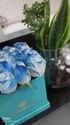 Enchanted Blue Box