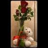 The Romance Of Roses N Teddy Combo