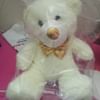 White Teddy Bear Combo Medium 12 Inch