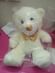 White Teddy Bear Combo Medium 12 Inch