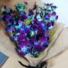 Blue 6 Orchid Jute Bouquet