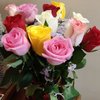 Gulal Rose Bouquet Combo