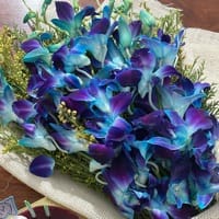 https://imgcdn.floweraura.com/fa/review_image/1712863883_698373.jpeg