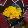 Golden Glow Yellow Gerberas Bouquet