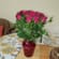 Love In A Glass Vase