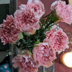 Timeless Pink Carnations