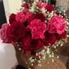 Roses And Carnations Fusion