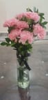 Timeless Pink Carnations