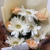 https://imgcdn.floweraura.com/fa/review_image/1716910268_241997.jpeg